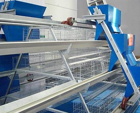 減少飼料的浪費能夠降低養雞的成本 減少飼料的浪費能夠降低養雞的成本